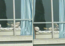 發現對面樓的美女在自慰