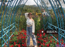 【快手美熟女】薇薇，顏值匹配這巨乳，最佳組合，赤裸騷舞秀起，騷穴窺探！
