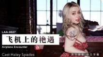 中文字幕 飛機上的豔遇